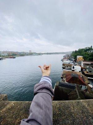 Montlake /UW / Lake!