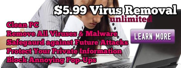 5.99 Virus Removal Online Fast Easy Secure