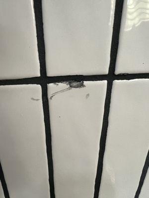 Cracked tile