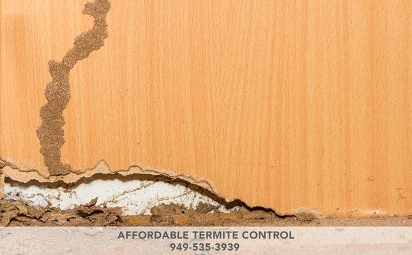 Affordable Termite Control 1710 N. Morningside Street,Orange, CA 92867 949-535-3939 http://www.affordabletermitecontroloc.com