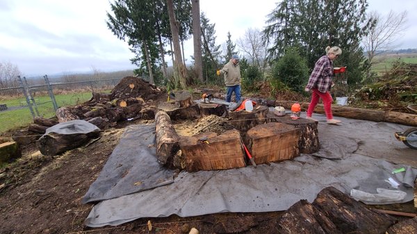 Installing log edge vegetable garden