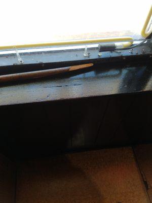 These are the dead flies on just 1 of the window sills at Fabios Pizza!! The waitress said they have been there for months