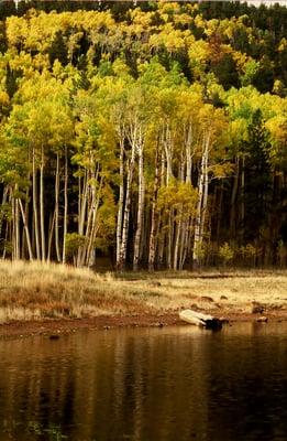 Locket Meadow, Flagstaff Arizona