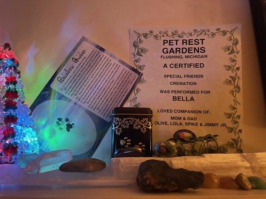 "My special friend" individual cremation  Rainbow  bridge poem with perfect print, small tin with for cremation, and certificate.