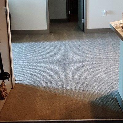 Carpet cleaning