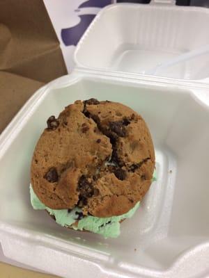 Ice cream cookie sandwich