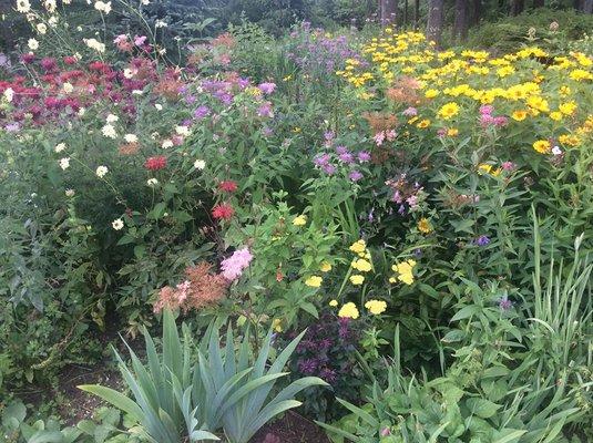 Beautiful Garden at the Presque Isle Community Library