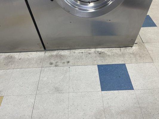 Floors at coin laundry