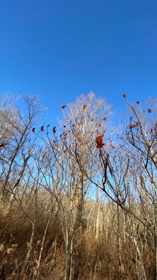 Clapp Park