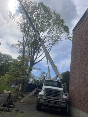 Reaching thee pick of a tree