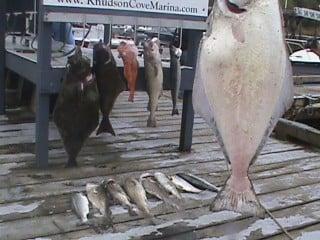 Halibut fishing Ketchikan.