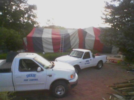 Tent Fumigation by Dixie Pest Control