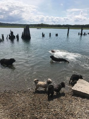 Group visit to the beach