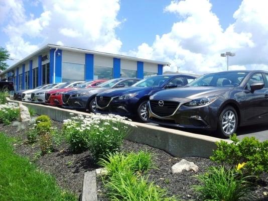 Royal South Mazda Volvo
 3225 South Walnut Street
 Bloomington, IN 47401
 812-339-1161
 http://www.royalsouthmazda.com/