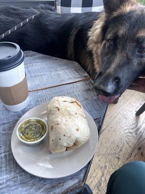 Honey latte and breakfast burrito. Best in town