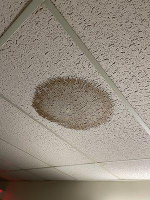 Leaking pipes on ceiling tiles.