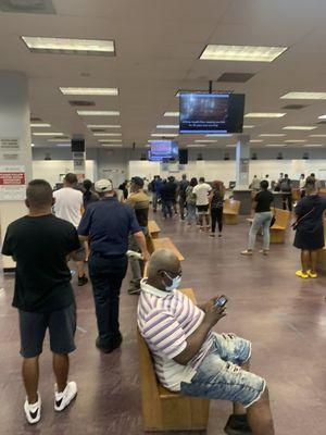 Department of Motor Vehicles - Springfield Gardens