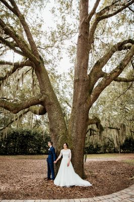 First touch around the big oak tree