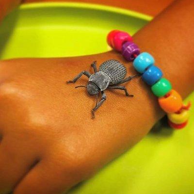 Have fun at one of our Animal Birthdays with insects and creepy crawlers!