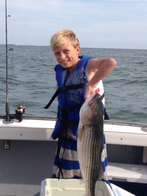 Nice striper