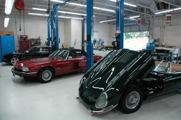 Expert Independent Jaguar Repair.
 425-746-5447