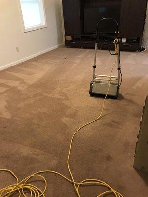 Carpet cleaning