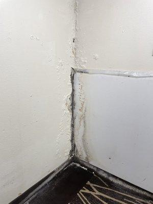 Water damage in hall