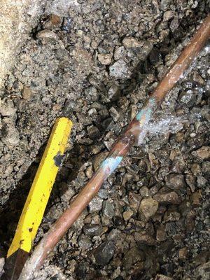 Once the jackhammering zeroed on on the area, the trapped water sprayed out and the leak was easily detectable - a break in the aged pipe