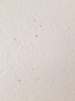 Orange mold on walls