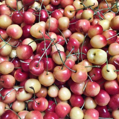 Rainier cherries