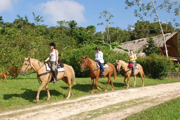 The Mayan Jungle and Tikal Ride in Belize