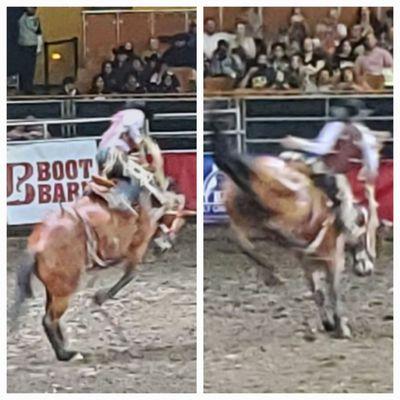 Saddle bronc riding