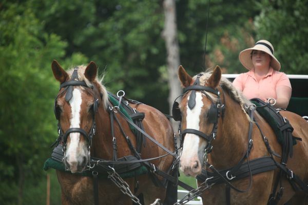 Brandywine Carriage Tours