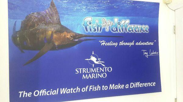 Proud sponsor of fishtomakeadifference.com