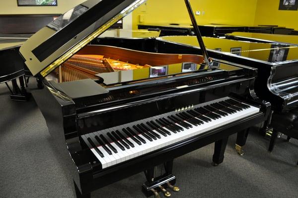 Yamaha grand piano in high gloss black.