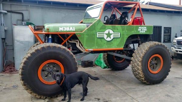 We have some fun vehicles to work on, looks like our shop pup likes it too!