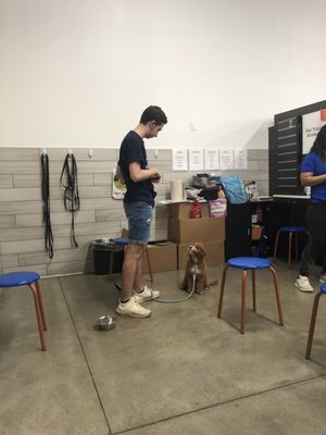 Puppy training class