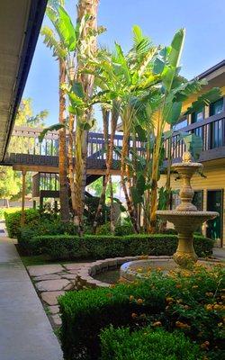 Clinic courtyard & fountain