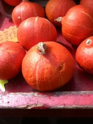 This is a savory squash that looks like a pumpkin!  Wow!