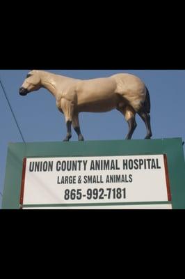 Union County Animal Hospital