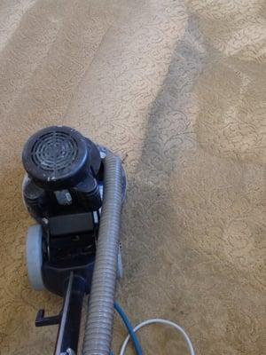 Rotary steam carpet cleaning