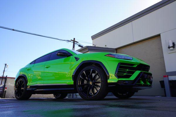 Lamborghini Urus with XPEL Ultimate Plus clear bra paint protection to keep  you ready for the road.