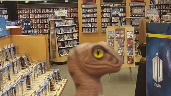 Bob the Raptor Says "If you are a mammal who likes books and CD's this is for you."