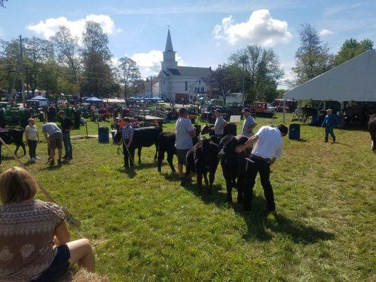 Hardwick Fair, oldest continuous fair in the country.