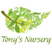 Tony's Nursery