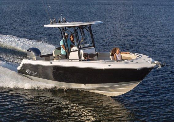 Robalo 242