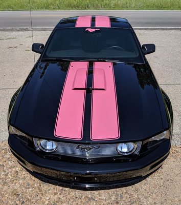 Detailed Mustang