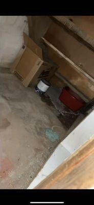 FULL LITTER BOX WE FOUND UPON MOVE IN Surrounded by cat feces and urine!