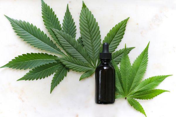 Medical Marijuana Consultations and Certifications