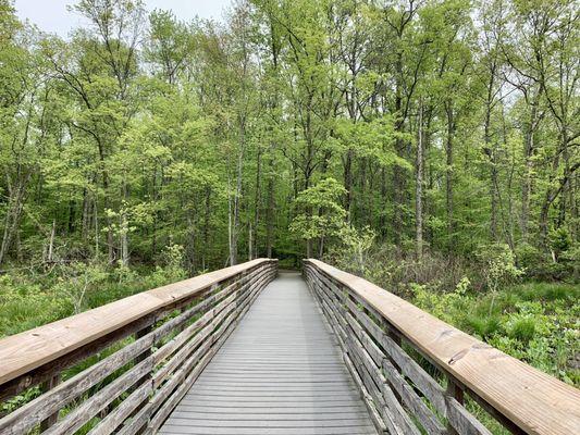 Great Swamp National Wildlife Refuge